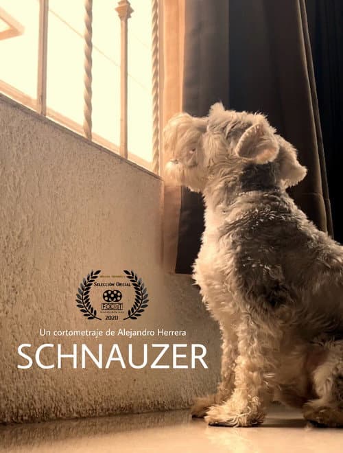 Poster for Schnauzer