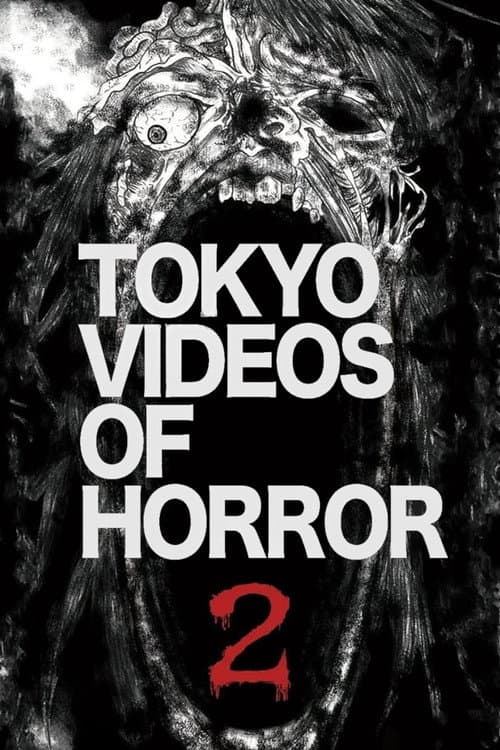 Постер до фільму «Tokyo Videos of Horror 2»