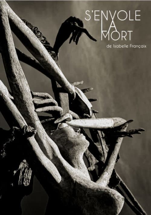 Poster for S'envole la mort