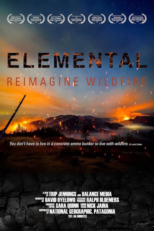 Poster for Elemental: Reimagine Wildfire