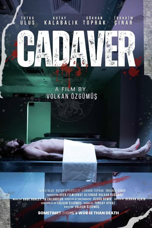 Poster for The Cadaver