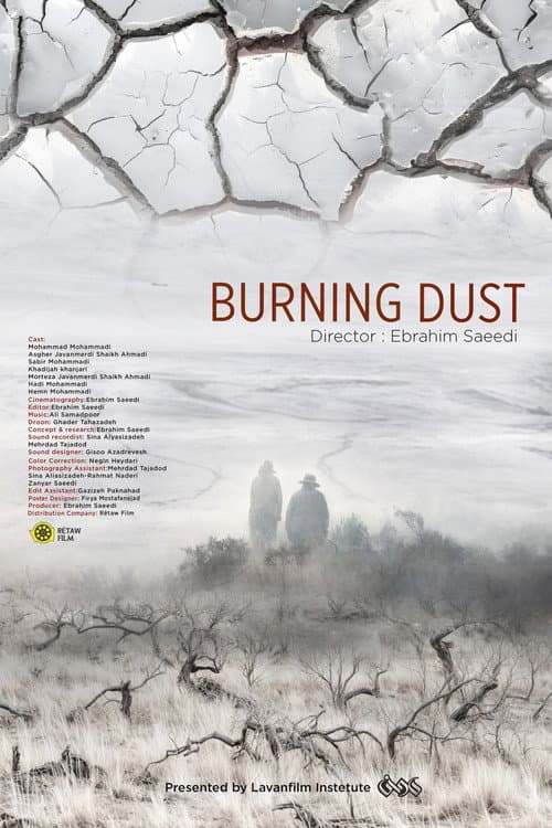 Poster for Burning Dust
