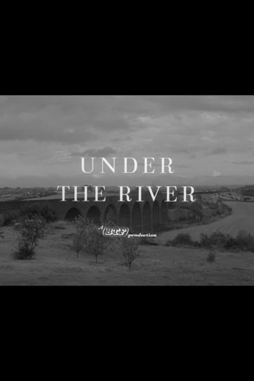 Poster for Under the River