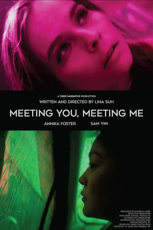 Poster for Meeting You, Meeting Me