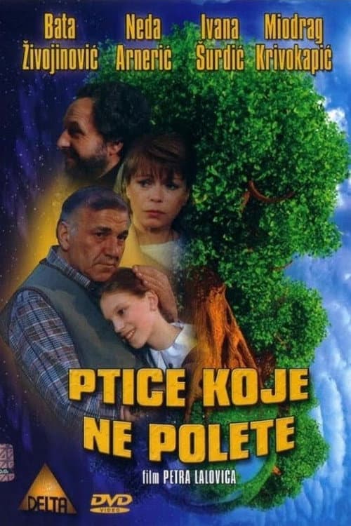 Poster for Some Birds Can't Fly