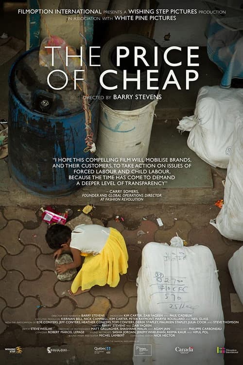 Poster for The Price of Cheap