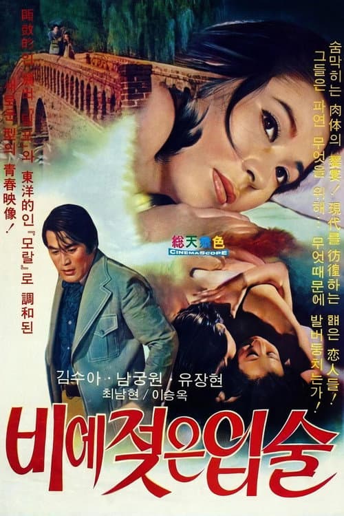 Poster for Wet Lips in the Rain