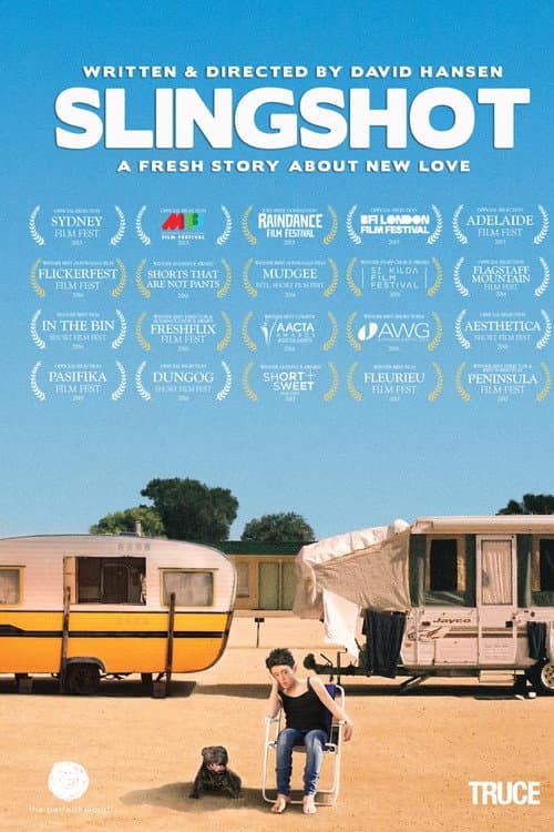 Poster for Slingshot