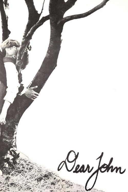 Poster for Dear John