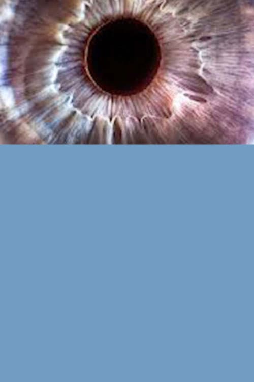 Poster for Bigger on the Inside