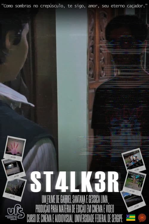 Poster for ST4LK3R