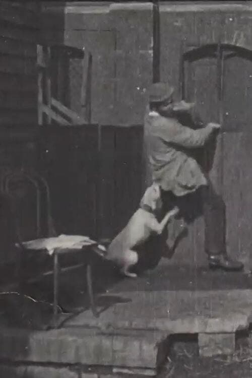 Poster for The Tramp and the Dog