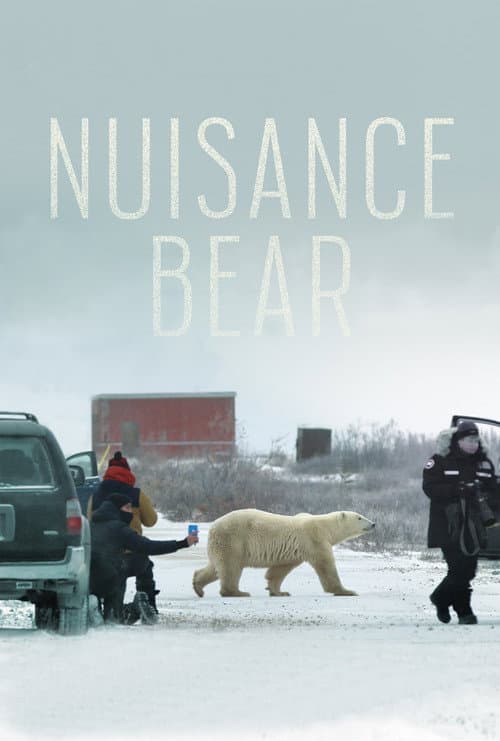 Poster for Nuisance Bear