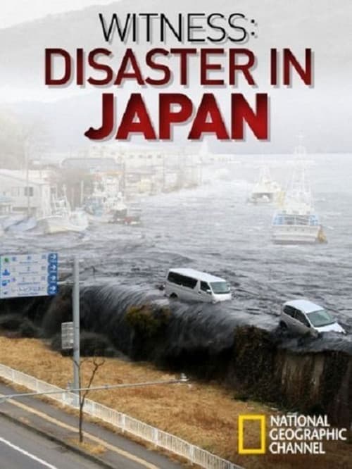 Постер до фільму «Witness: Disaster in Japan»