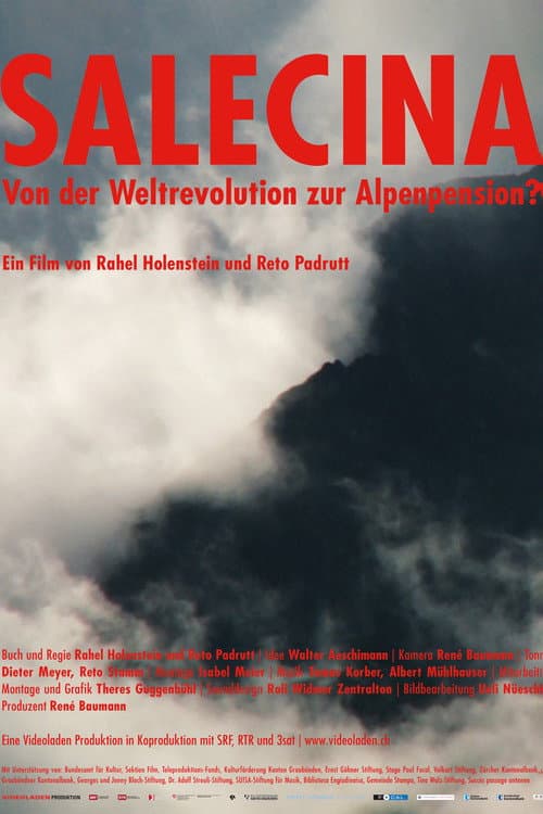Poster for Salecina