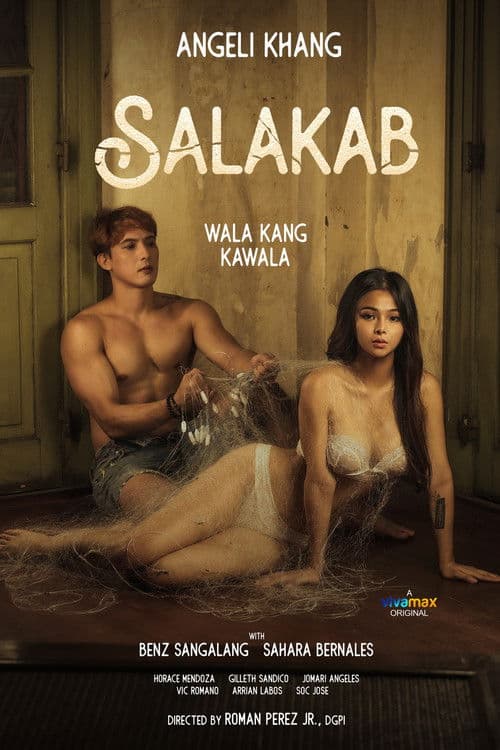 Poster for Salakab