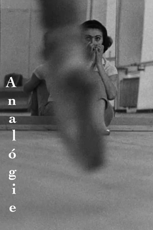 Poster for Analógie