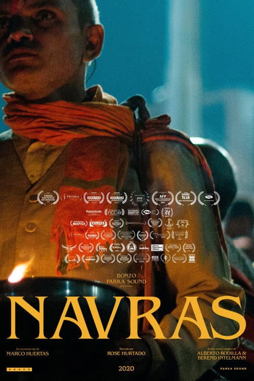 Poster for Navras