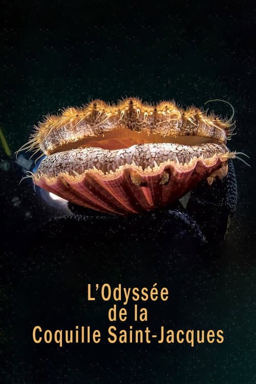 Poster for The Odyssey of the Scallop Shell
