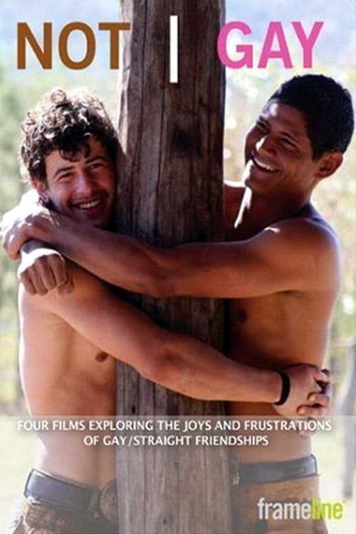 Poster for Not Gay