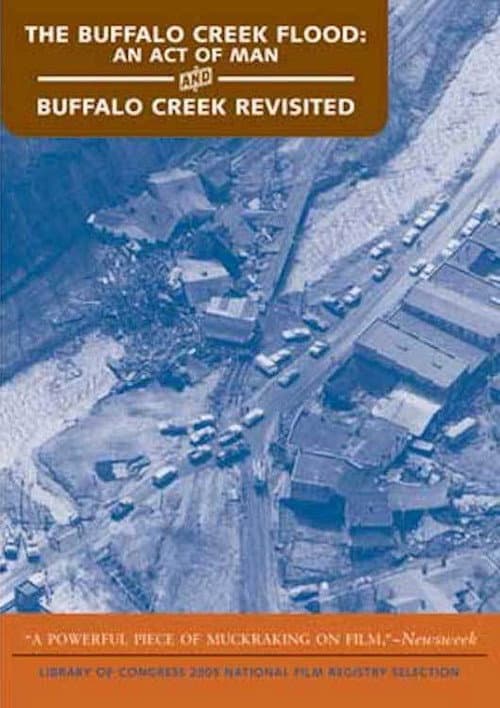 Poster for The Buffalo Creek Flood: An Act of Man