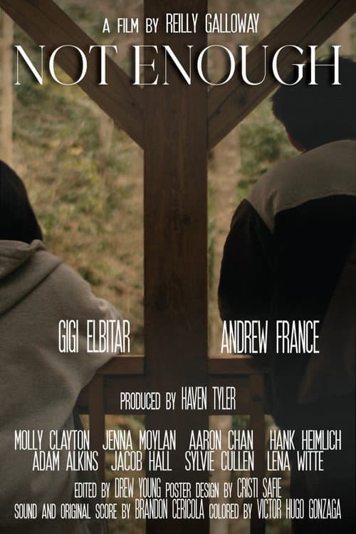 Poster for Not Enough