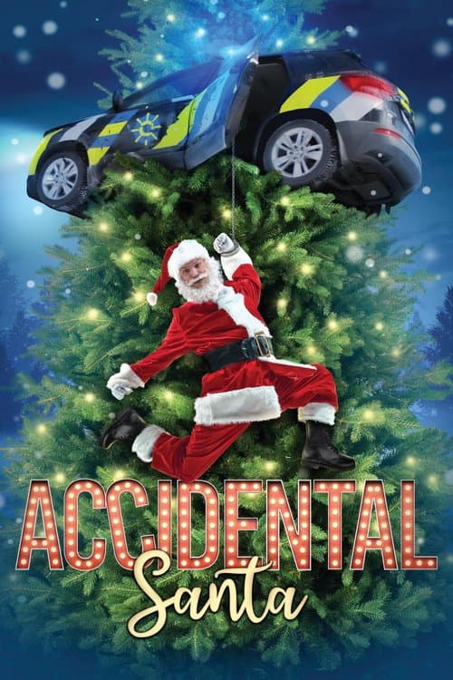 Poster for Accidental Santa