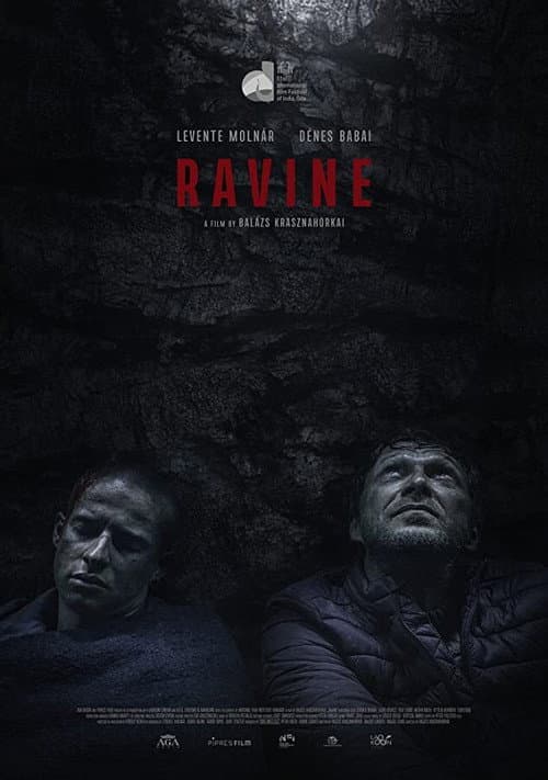 Poster for Ravine