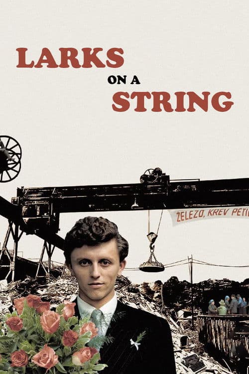 Poster for Larks on a String