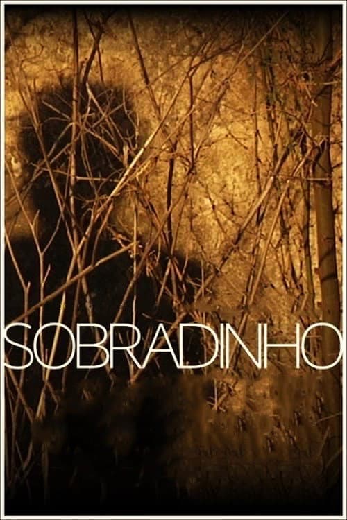 Poster for Sobradinho