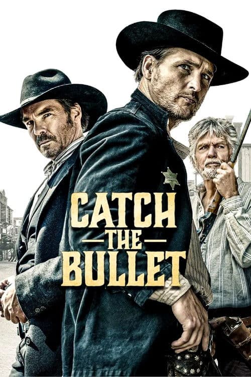 Poster for Catch the Bullet