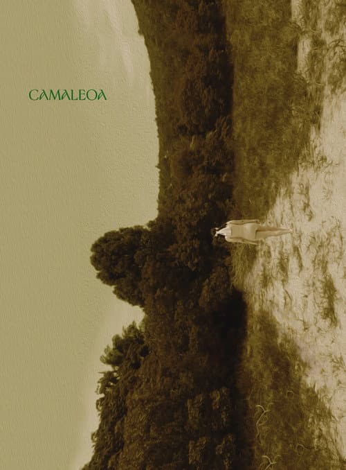 Poster for Camaleoa