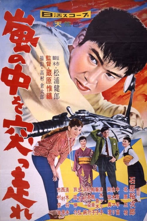 Poster for Showdown in the Storm