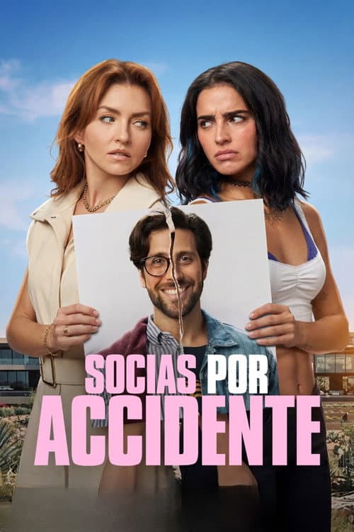 Poster for Accidental Partners