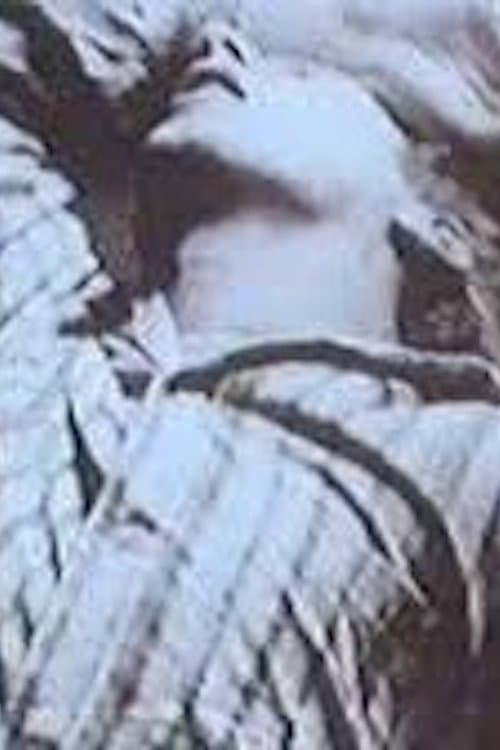 Poster for L.S.D.