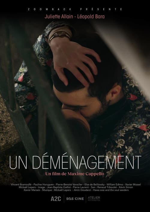 Poster for Un déménagement