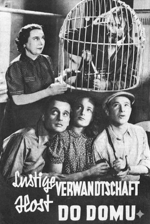 Poster for Host do domu