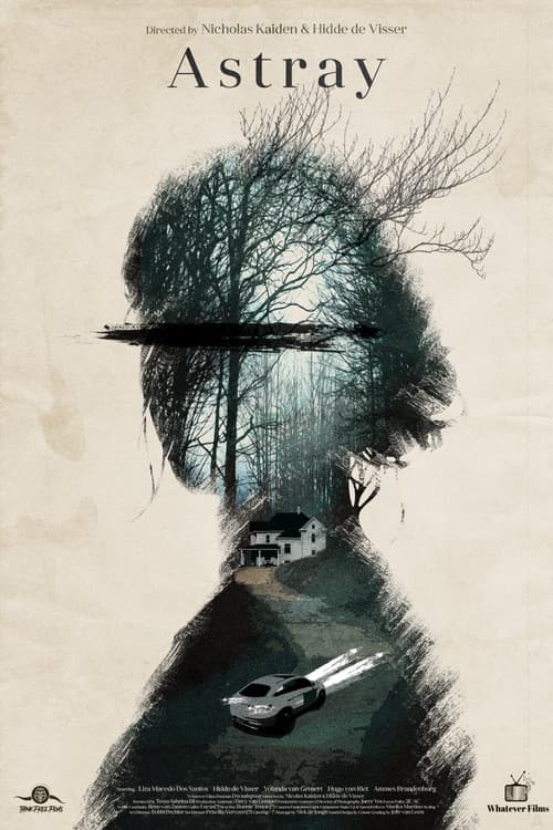 Poster for Astray