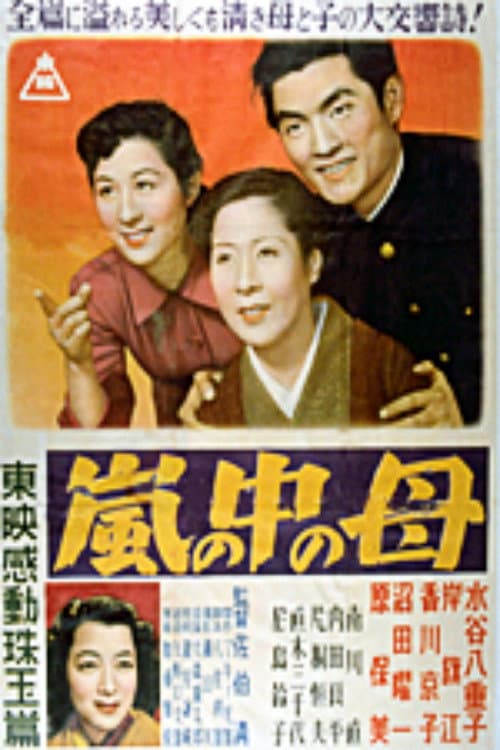 Poster for Man in the Storm
