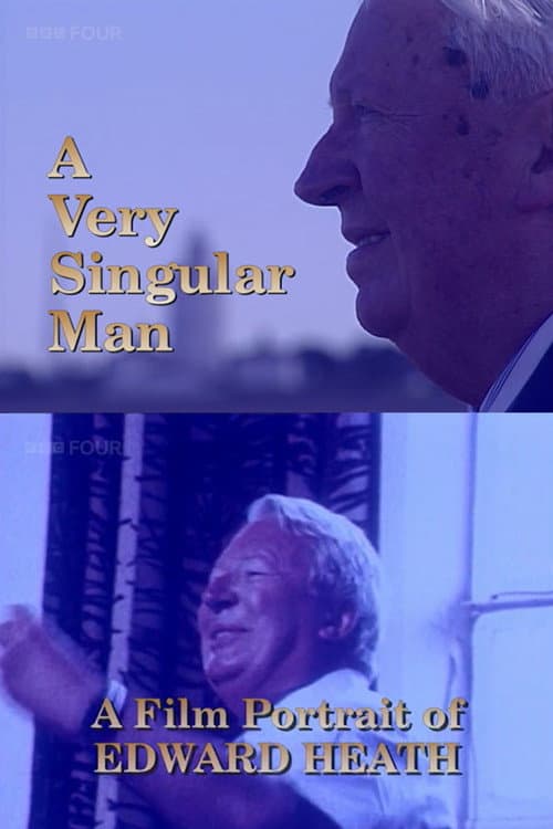 Poster for A Very Singular Man
