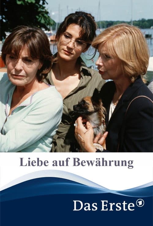 Poster for Liebe auf Bewährung