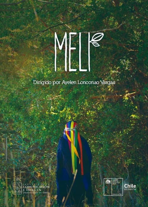 Poster for Meli