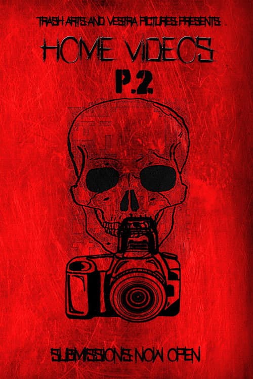 Poster for Home Videos 2