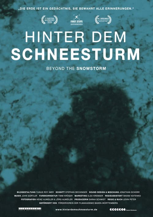 Poster for Beyond the Snowstorm