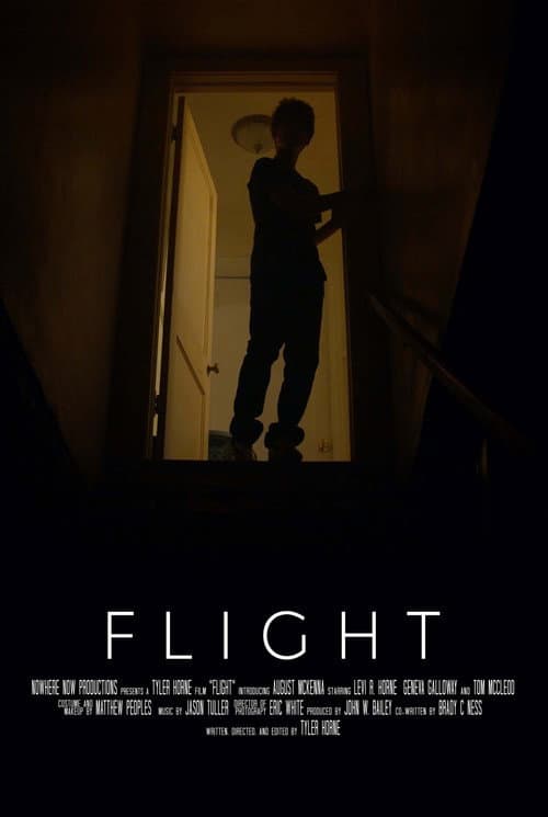 Poster for Flight