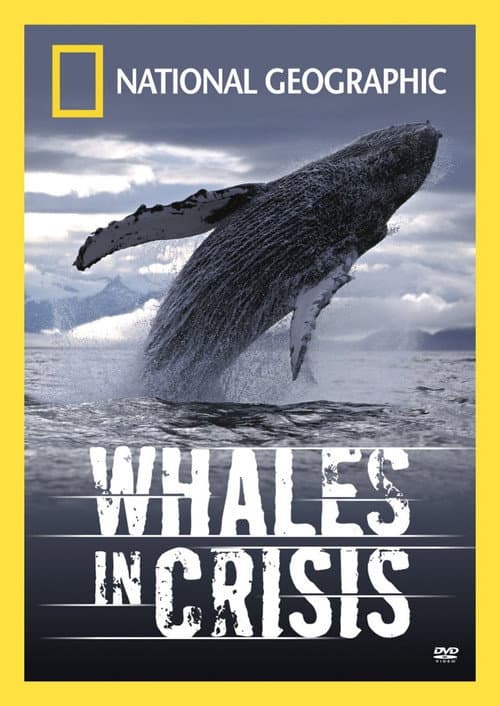 Poster for Whales in Crisis