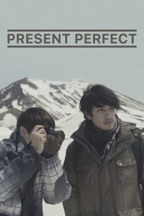 Poster for Present Perfect