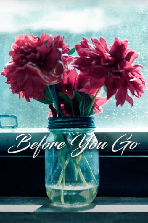 Poster for Before You Go