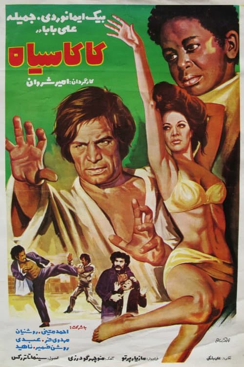 Poster for The Nigger