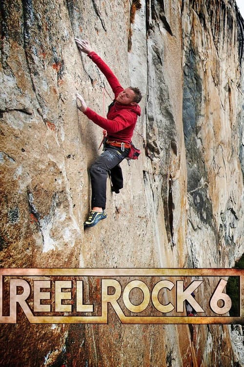 Poster for Project Dawn Wall
